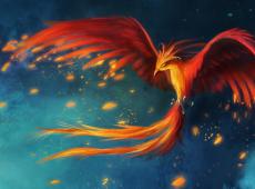 Птица феникс - символ возрождения Чем питается феникс